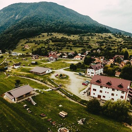 Pensiunea 3 Brazi Zarnesti Exterior foto