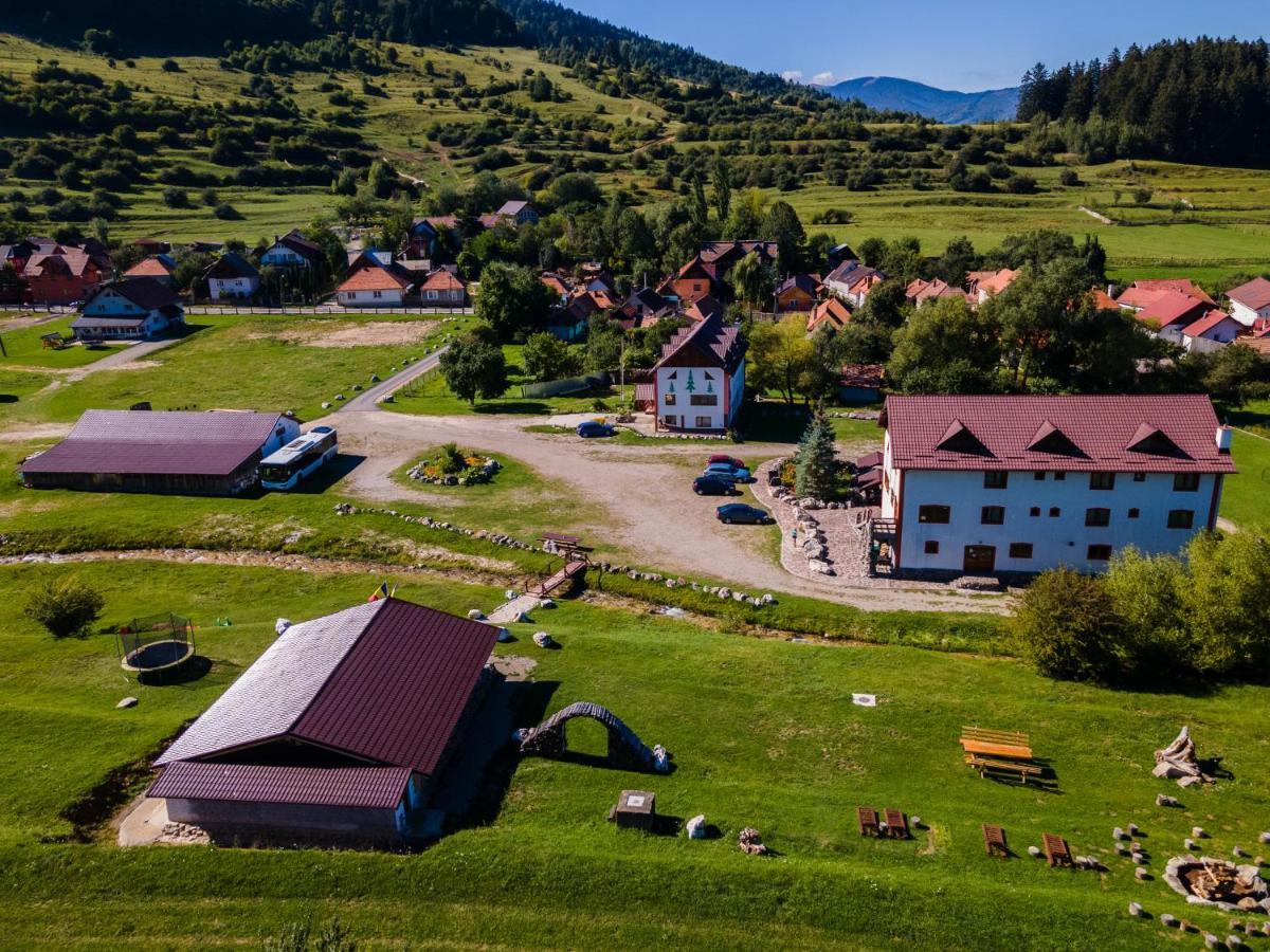 Pensiunea 3 Brazi Zarnesti Exterior foto