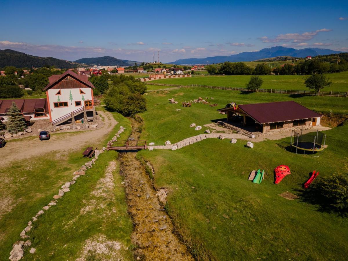 Pensiunea 3 Brazi Zarnesti Exterior foto