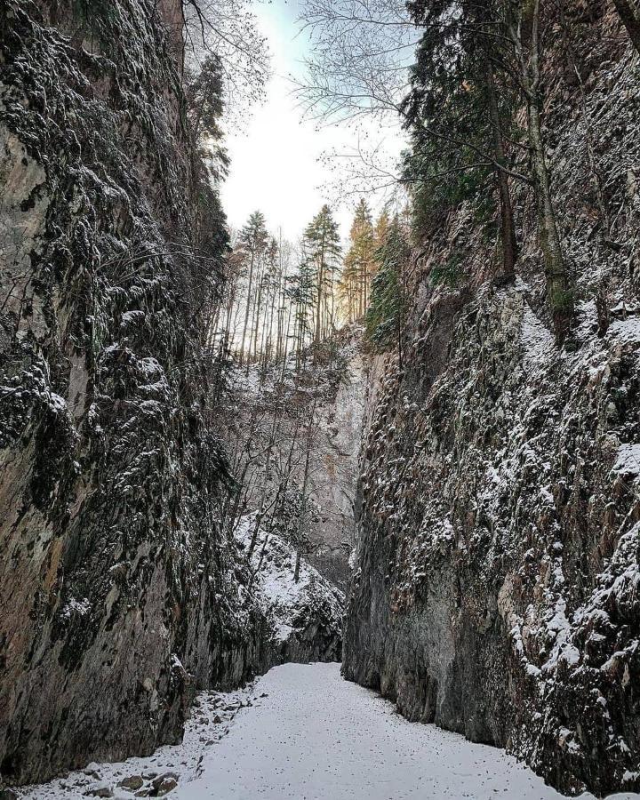 Pensiunea 3 Brazi Zarnesti Exterior foto