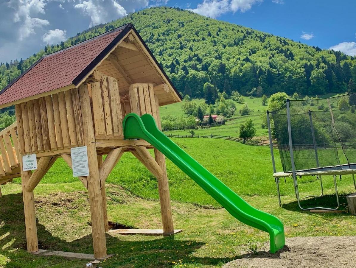 Pensiunea 3 Brazi Zarnesti Exterior foto