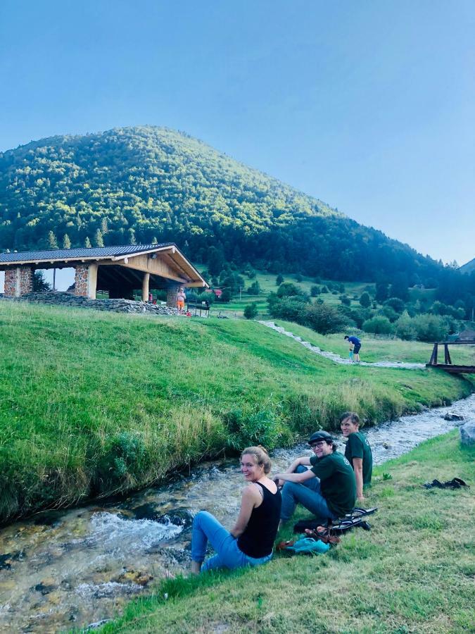 Pensiunea 3 Brazi Zarnesti Exterior foto