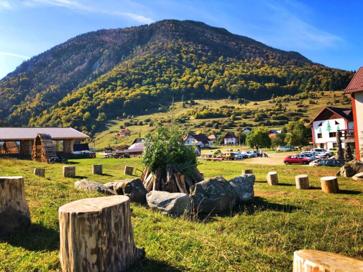 Pensiunea 3 Brazi Zarnesti Exterior foto