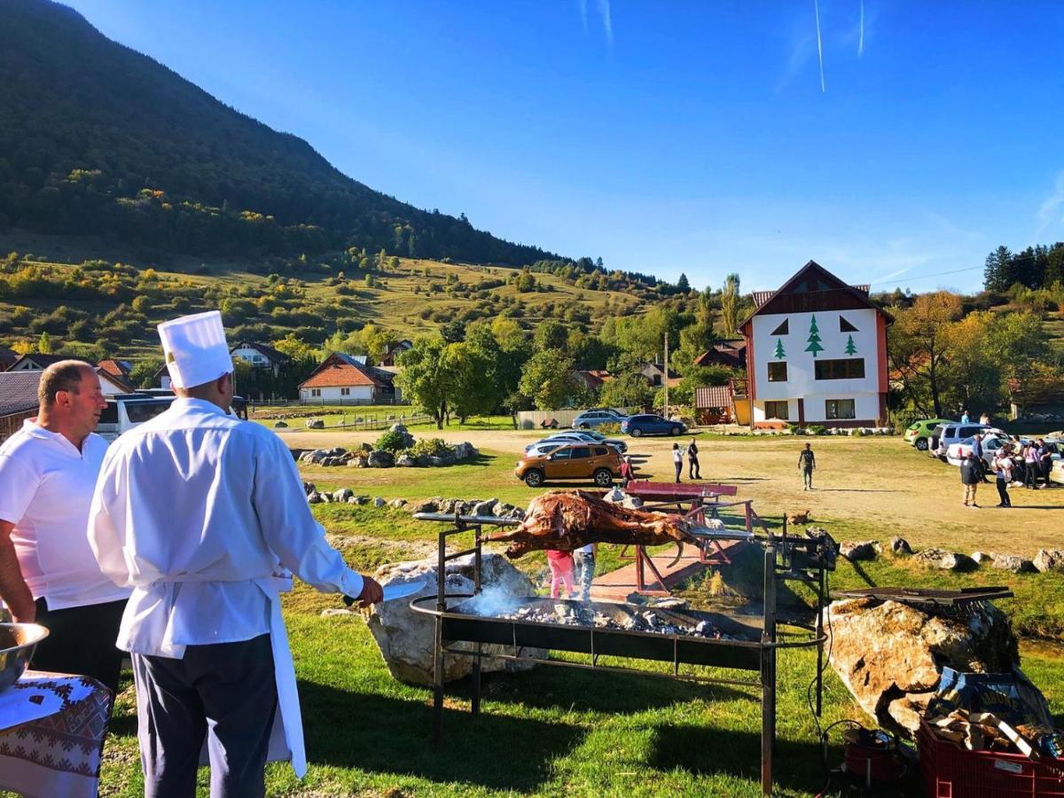 Pensiunea 3 Brazi Zarnesti Exterior foto