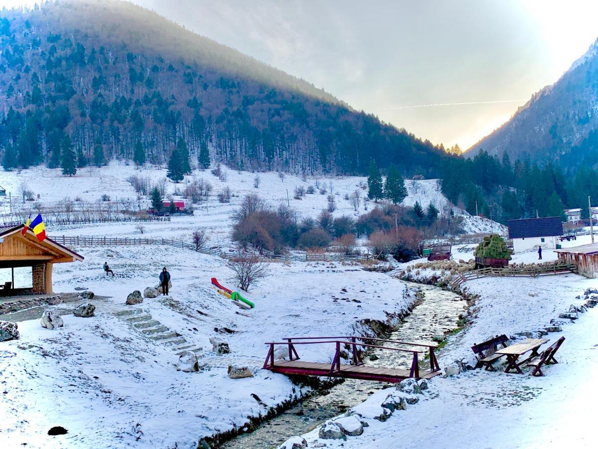 Pensiunea 3 Brazi Zarnesti Exterior foto