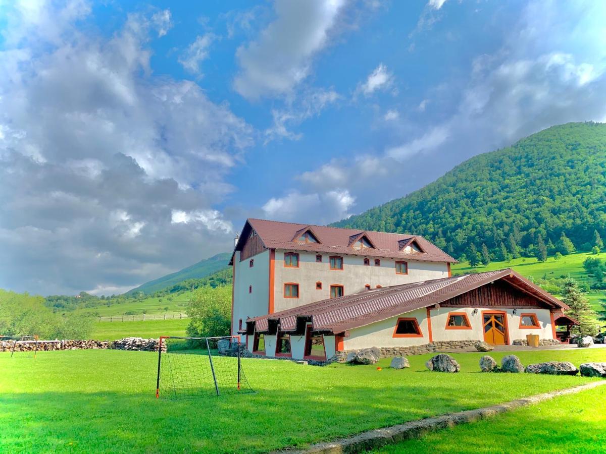 Pensiunea 3 Brazi Zarnesti Exterior foto